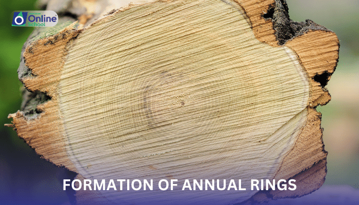 Lesson 20: Formation of Annual Rings